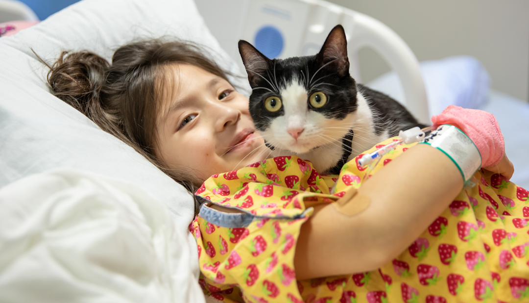 Calming Cuddles with Harry the Therapy Cat